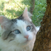 Photo #206941 de Urban