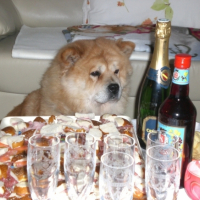 Photo #206947 de Athena
