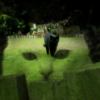 montage_4_