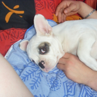 Photo #207047 de Kenja