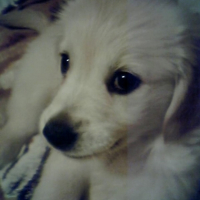 Photo #207048 de Prisca