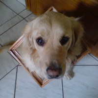 Photo #207049 de Prisca