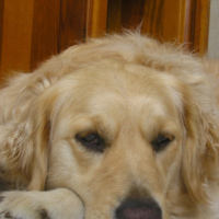 Photo #207051 de Prisca