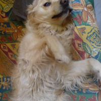 Photo #207054 de Prisca
