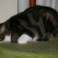 Photo #207075 de Ugo