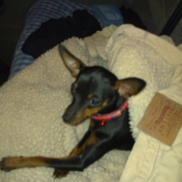 Photo #207081 de Ella