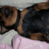 Photo #207082 de Ella