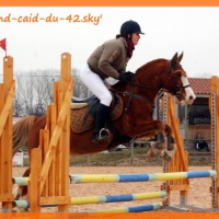 Photo #207166 de Caid du becquet