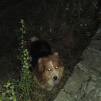 Photo #207190 de Neo