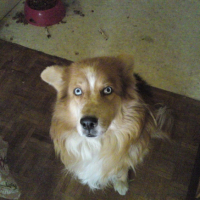 Photo #207194 de Neo
