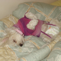 Photo #207237 de Roxane