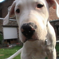 Photo #207438 de Elsy