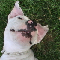 Photo #207439 de Elsy