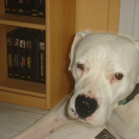 Photo #207499 de Ulrich