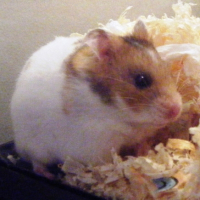 Photo #207573 de Liloo