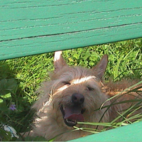 Photo #207657 de Lucky