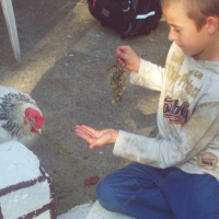 Photo #207690 de Lolo et némo