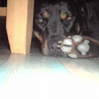 Photo #207692 de Kenza