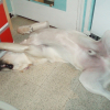 quand t-il dort!!!