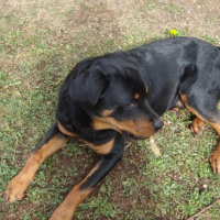 Photo #207849 de Eliot