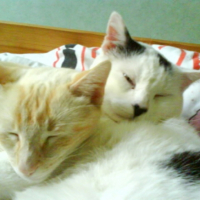 Photo #207861 de Moumoune