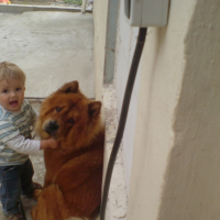 Photo #207867 de Akemi