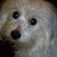 Photo #207917 de Bettie
