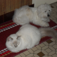 Photo #207918 de Bettie