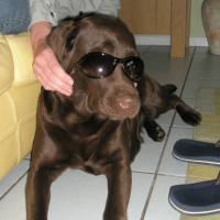 Photo #207944 de Samba