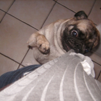 Photo #207957 de Oscar