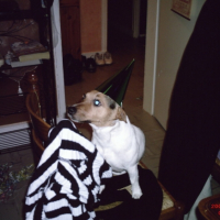 Photo #207976 de Douy