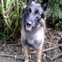 Photo #207978 de Doom