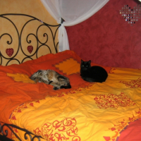 Photo #208086 de Charly