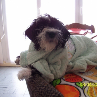 Photo #208107 de Kana