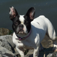 Photo #208113 de Daisy