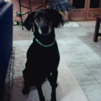 Photo #208134 de Funky