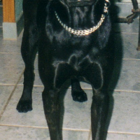 Photo #208135 de Funky