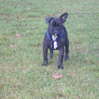 Photo #208171 de Edison 
