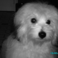 Photo #208189 de Bettie