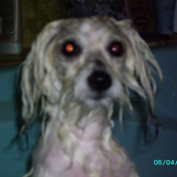 Photo #208193 de Bettie