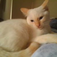 Photo #208324 de Eliot