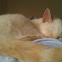 Photo #208326 de Eliot