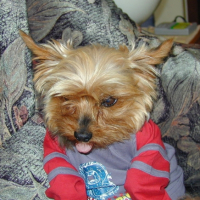 Photo #208356 de Nelson