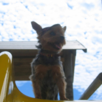 Photo #208361 de Nelson