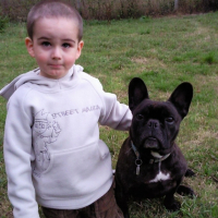 Photo #208367 de Ulk