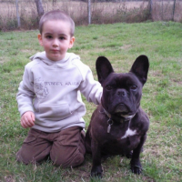 Photo #208368 de Ulk