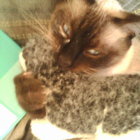 Photo #208373 de Winny