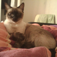 Photo #208374 de Winny