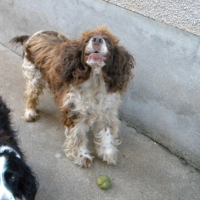 Photo #208378 de Ritzy