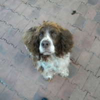 Photo #208379 de Ritzy